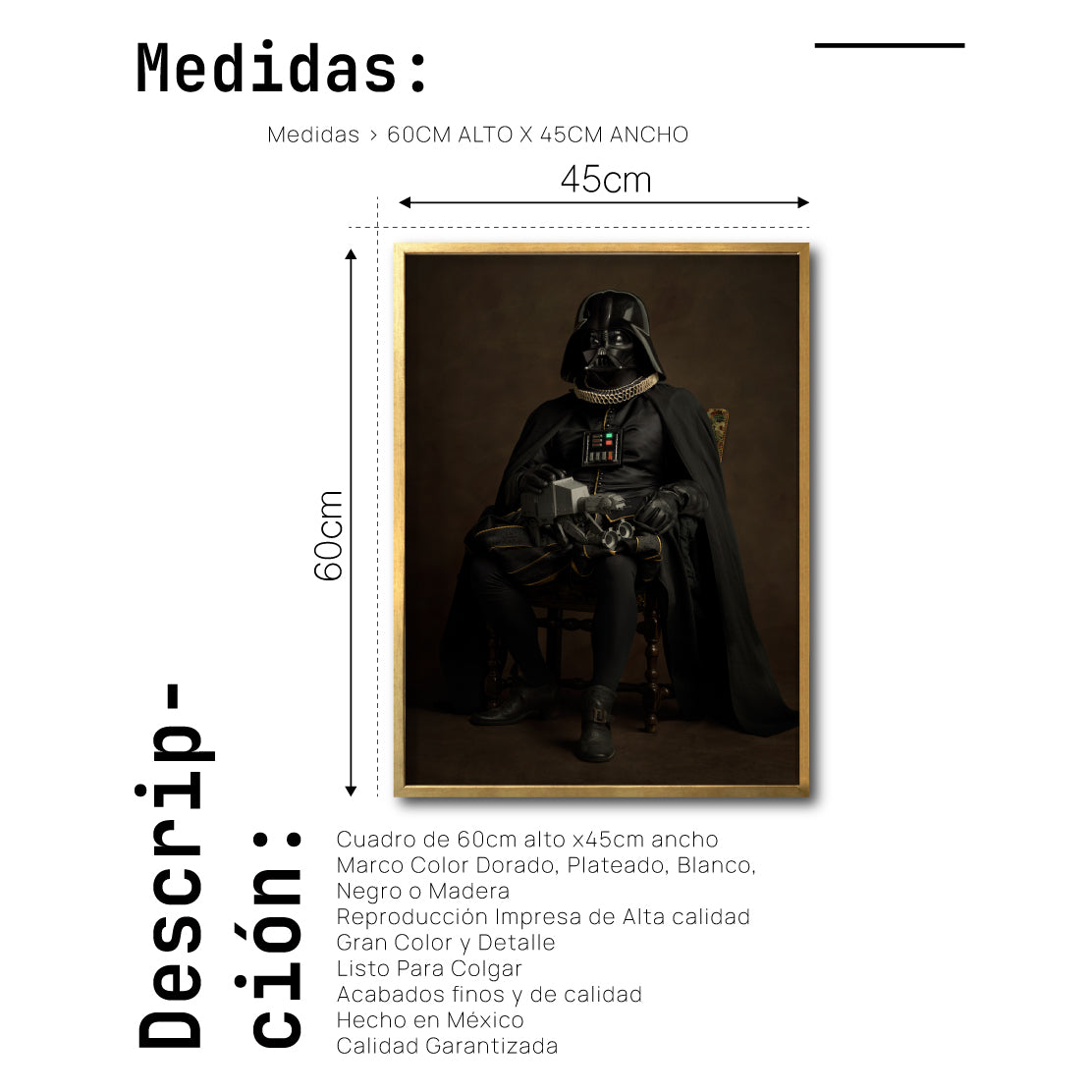Cuadro Decorativo Personajes Época 001  Star Wars Darth Vader