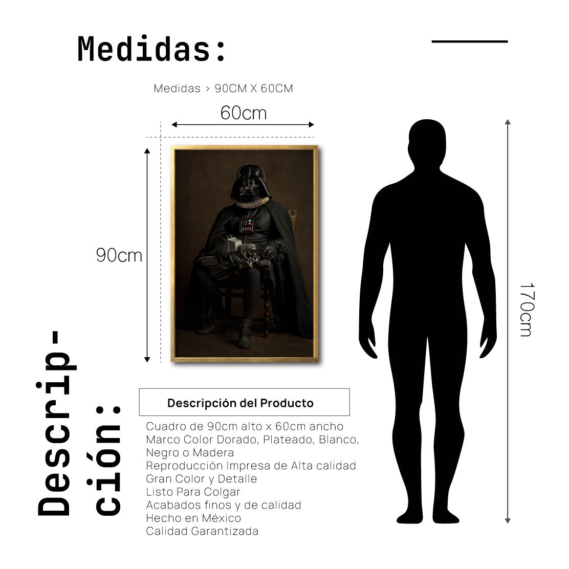 Cuadro Decorativo Personajes Época 001  Star Wars Darth Vader