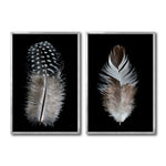 Cargar imagen en el visor de la galería, Set Cuadros Decorativos  Plumas 001 A Y B
