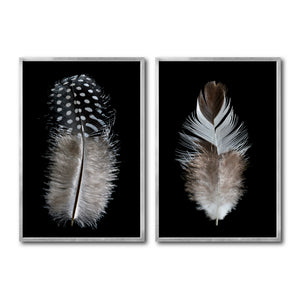 Set Cuadros Decorativos  Plumas 001 A Y B