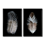 Cargar imagen en el visor de la galería, Set Cuadros Decorativos  Plumas 001 A Y B
