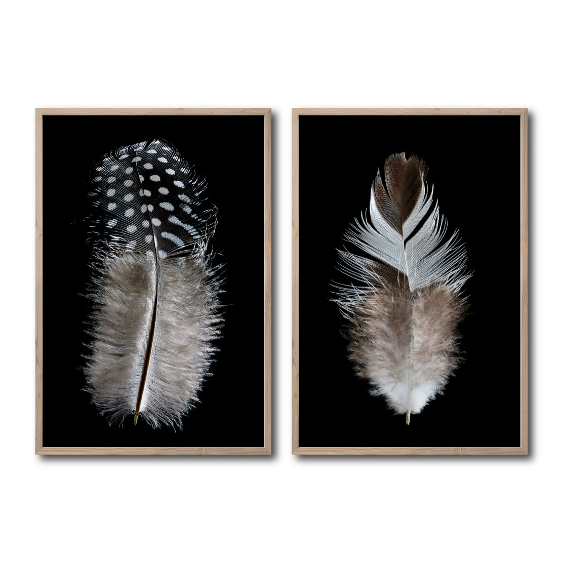 Set Cuadros Decorativos  Plumas 001 A Y B