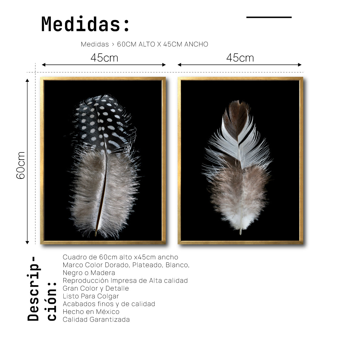 Set Cuadros Decorativos  Plumas 001 A Y B