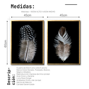 Set Cuadros Decorativos  Plumas 001 A Y B