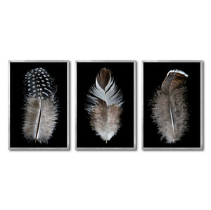 Set Cuadros Decorativos Plumas 001 ABC