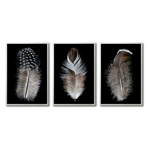 Set Cuadros Decorativos Plumas 001 ABC