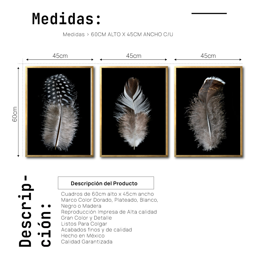 Set Cuadros Decorativos Plumas 001 ABC