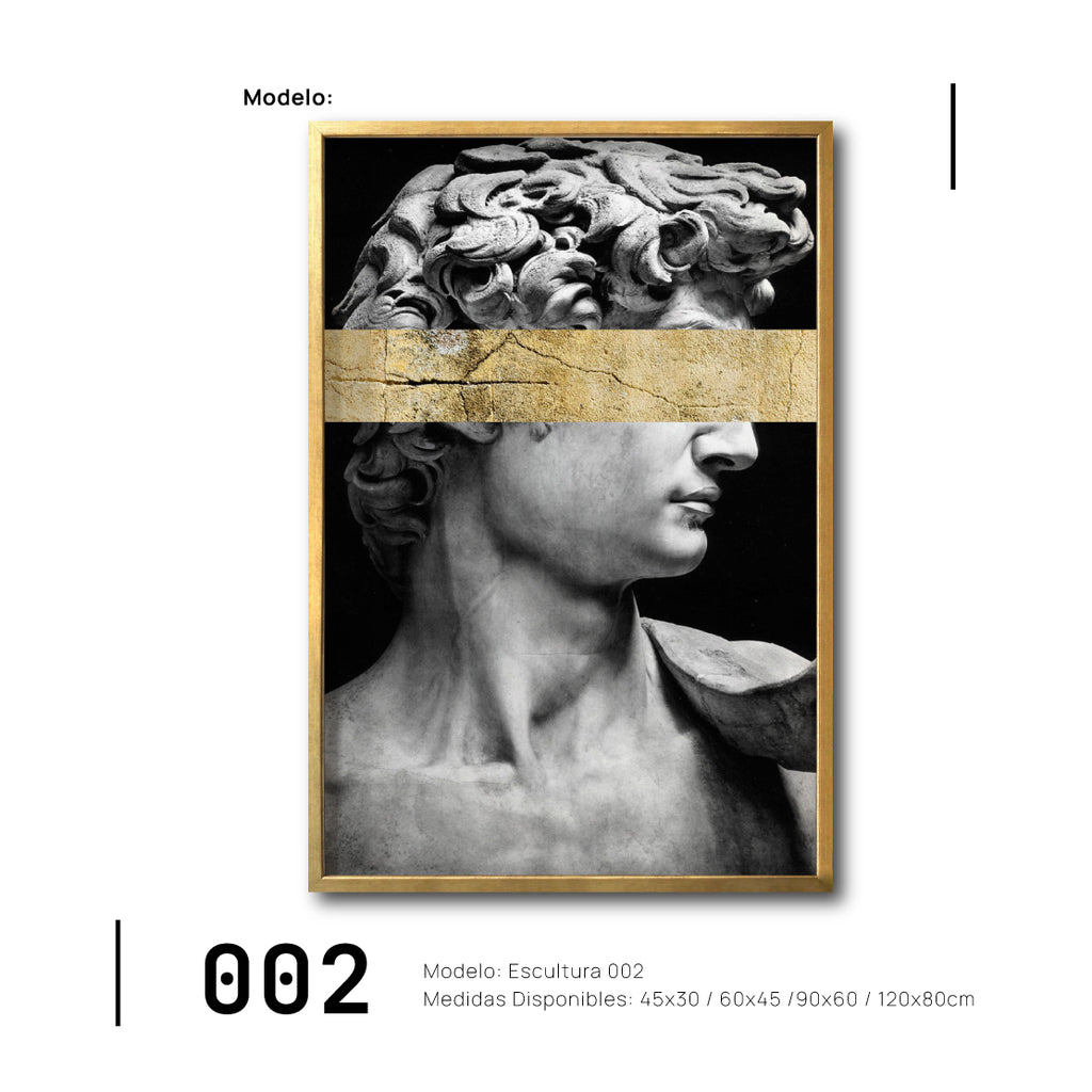 Compra cuadro decorativo Canva del David de Miguel Ángel online, blanco y negro
