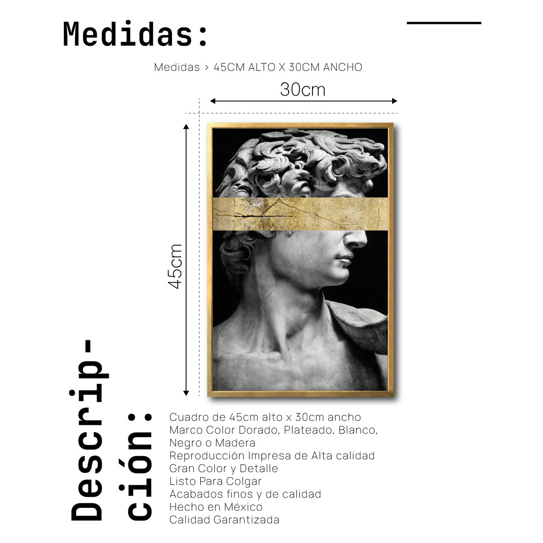 Cuadro Decorativo Esculturas 002 El David