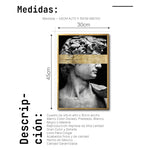 Cargar imagen en el visor de la galería, Cuadro Decorativo Esculturas 002 El David
