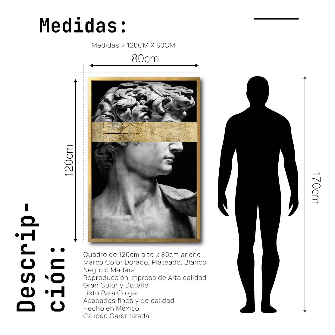 Cuadro Decorativo Esculturas 002 El David