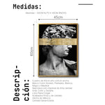 Cargar imagen en el visor de la galería, Cuadro Decorativo Esculturas 002 El David
