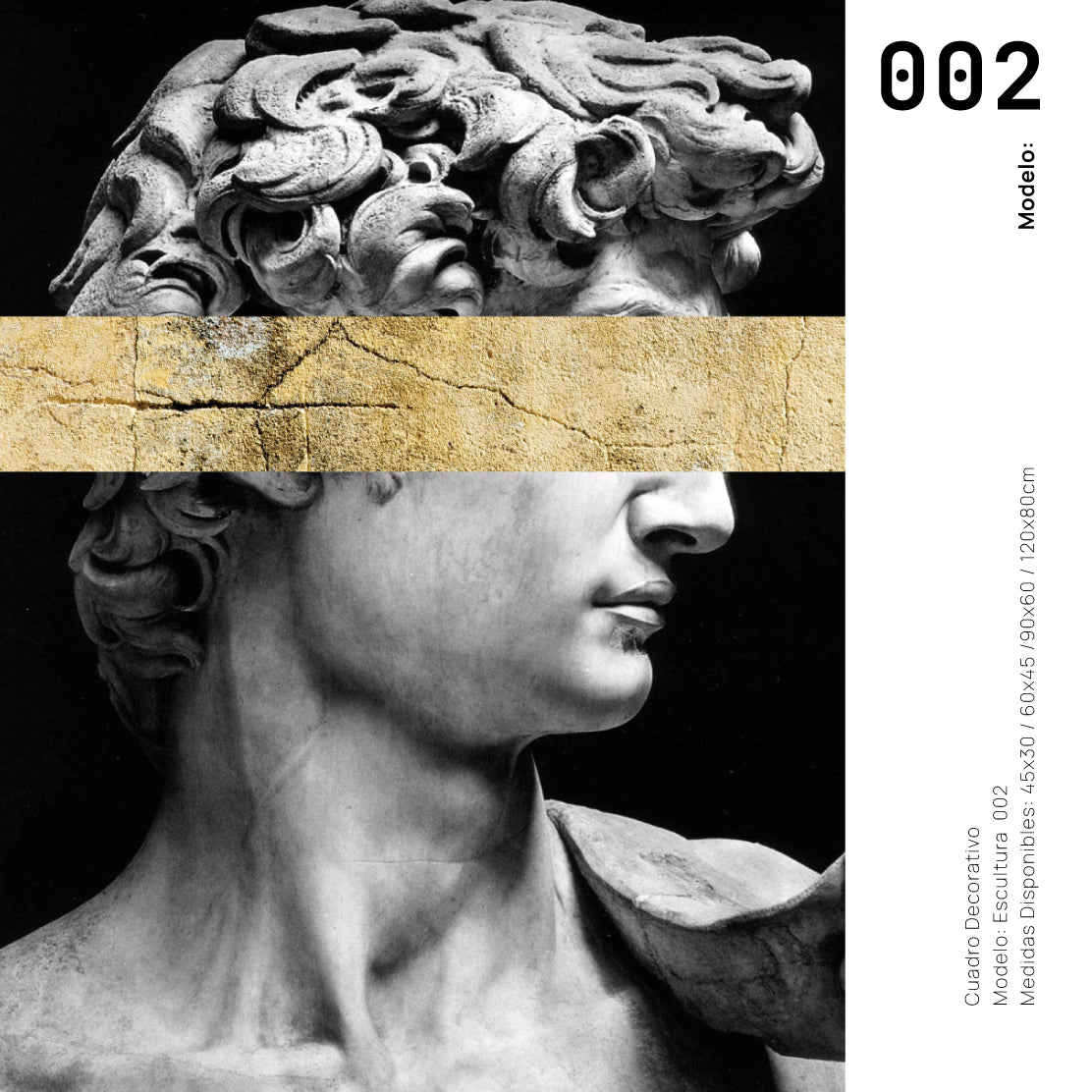 Cuadro Decorativo Esculturas 002 El David