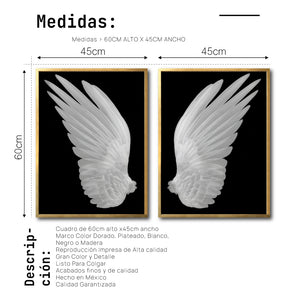 Set Cuadros Decorativos Alas 002