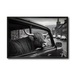 Cargar imagen en el visor de la galería, Cuadro Decorativo Animals Car Window 002
