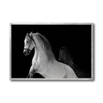Cargar imagen en el visor de la galería, Cuadro Decorativo Caballos 002
