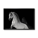 Cargar imagen en el visor de la galería, Cuadro Decorativo Caballos 002
