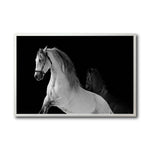 Cargar imagen en el visor de la galería, Cuadro Decorativo Caballos 002
