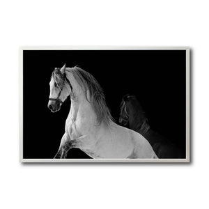 Cuadro Decorativo Caballos 002