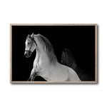 Cargar imagen en el visor de la galería, Cuadro Decorativo Caballos 002
