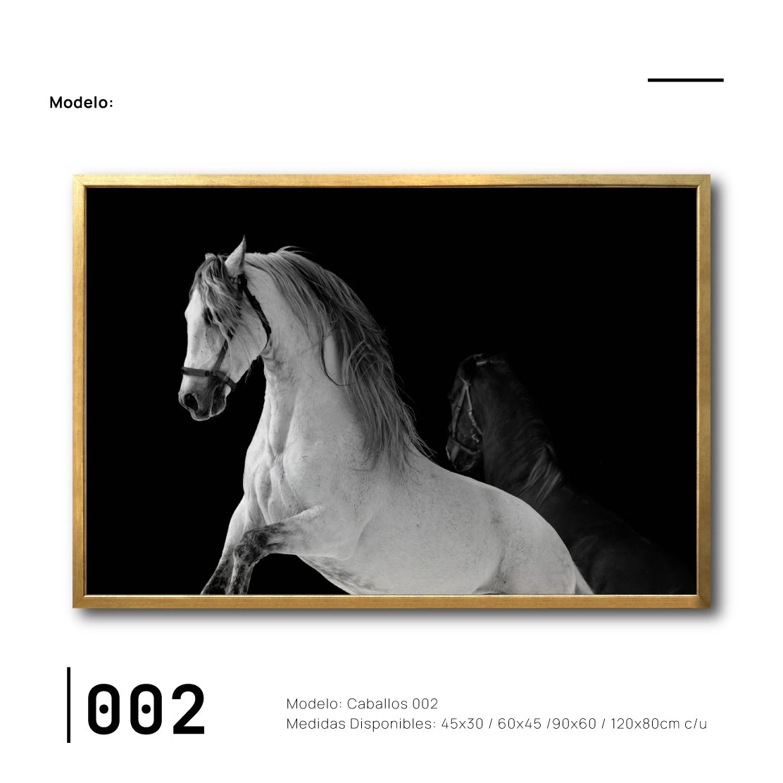 Cuadros Canvas de Caballos para sala en CDMX. Galería 314.