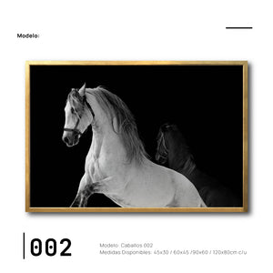 Cuadros Canvas de Caballos para sala en CDMX. Galería 314.