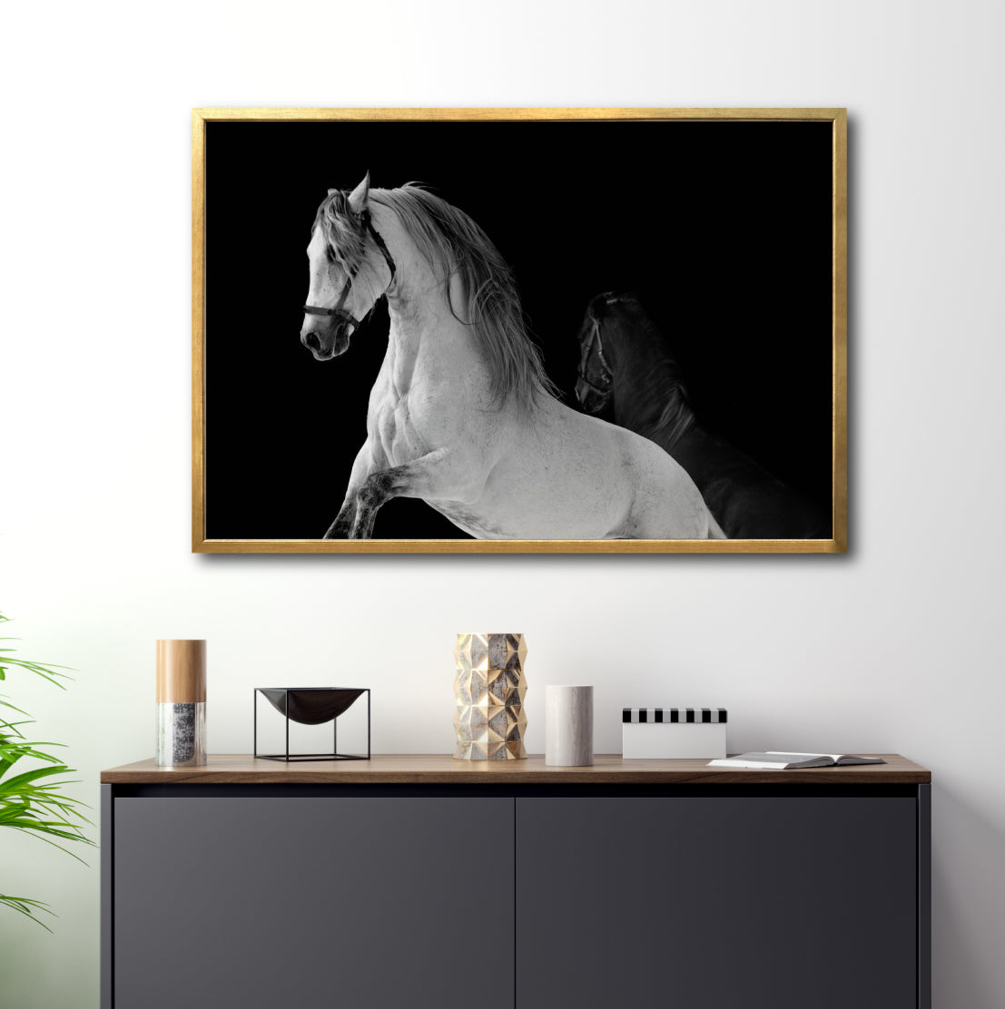 Cuadro Decorativo Caballos 002
