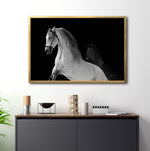 Cargar imagen en el visor de la galería, Cuadro Decorativo Caballos 002
