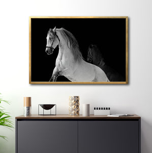 Cuadro Decorativo Caballos 002
