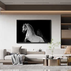 Cuadro Decorativo Caballos 002