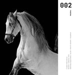 Cargar imagen en el visor de la galería, Cuadro Decorativo Caballos 002
