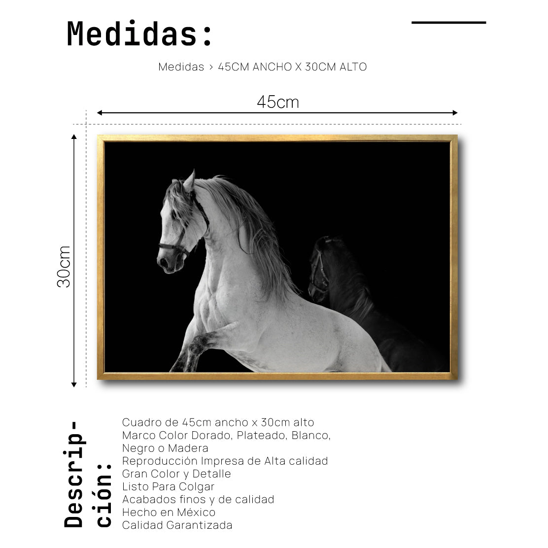 Cuadro Decorativo Caballos 002