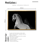 Cargar imagen en el visor de la galería, Cuadro Decorativo Caballos 002
