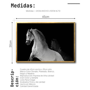 Cuadro Decorativo Caballos 002