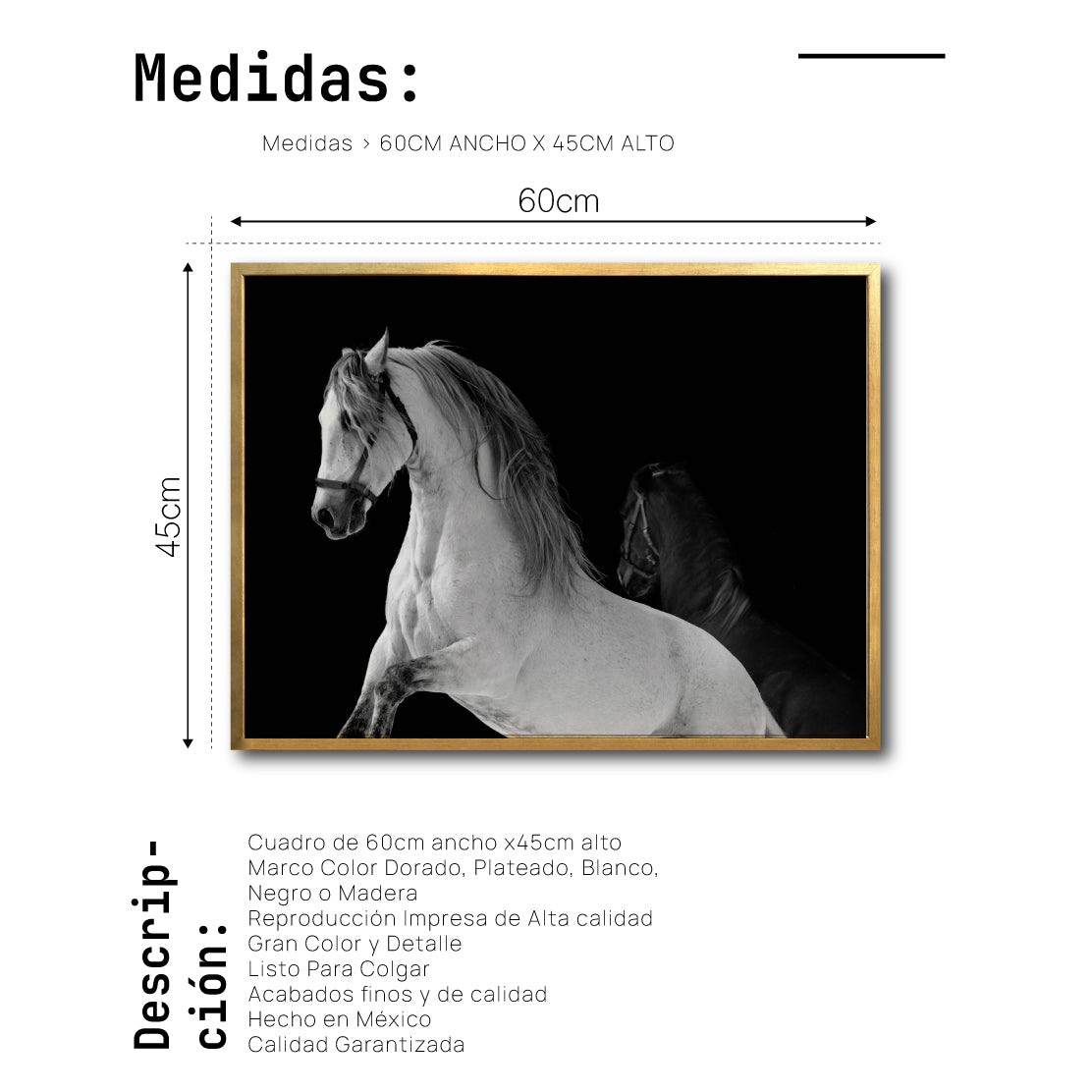 Cuadro Decorativo Caballos 002