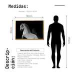 Cargar imagen en el visor de la galería, Cuadro Decorativo Caballos 002
