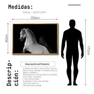 Cuadro Decorativo Caballos 002