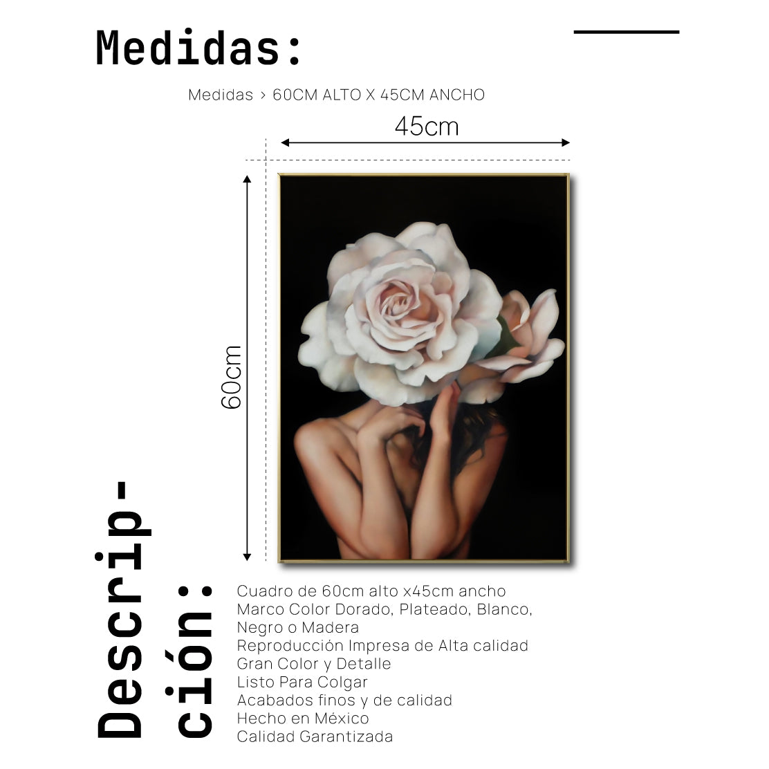 Cuadro Decorativo Mujer Floral y Alas 002