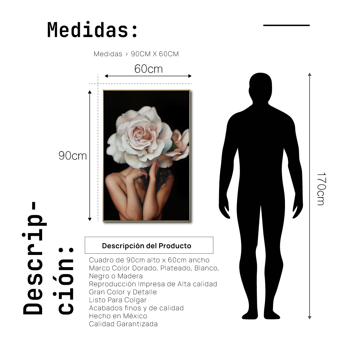 Cuadro Decorativo Mujer Floral y Alas 002