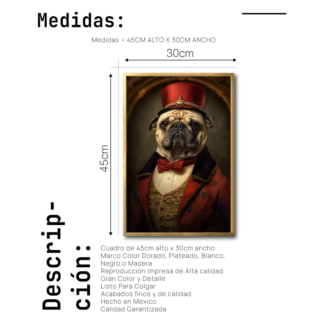 Cuadro Decorativo Perros Epoca 002 - Pug Aristócrata