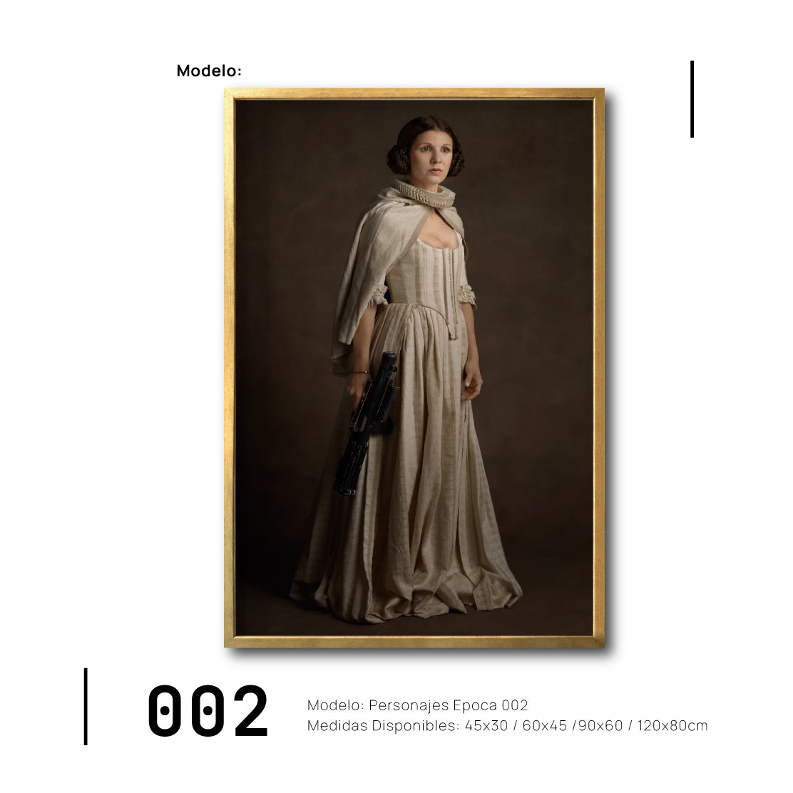 Cuadro Decorativo Personajes Época 002 Star Wars Princesa Leia