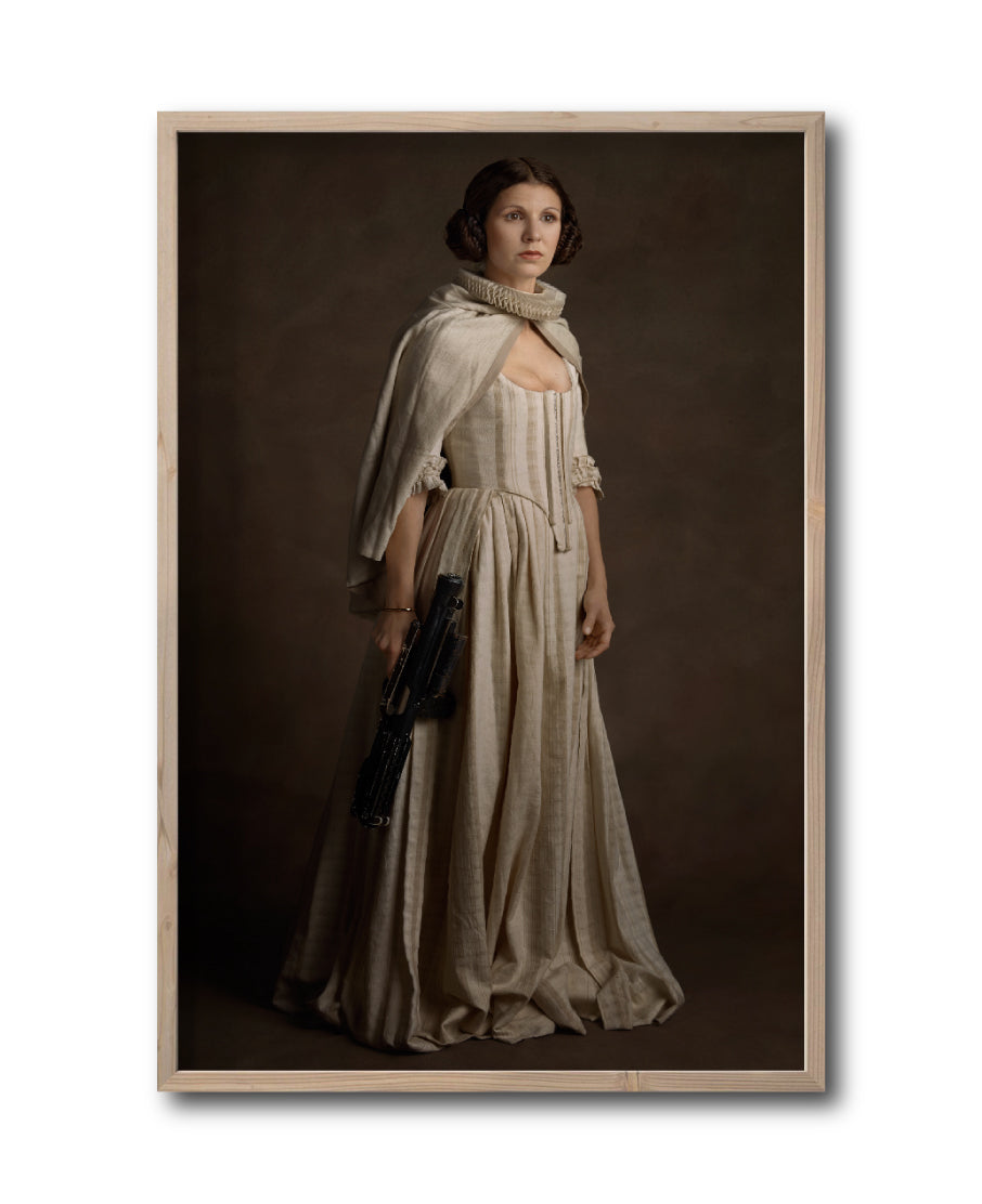 Cuadro Decorativo Personajes Época 002 Star Wars Princesa Leia