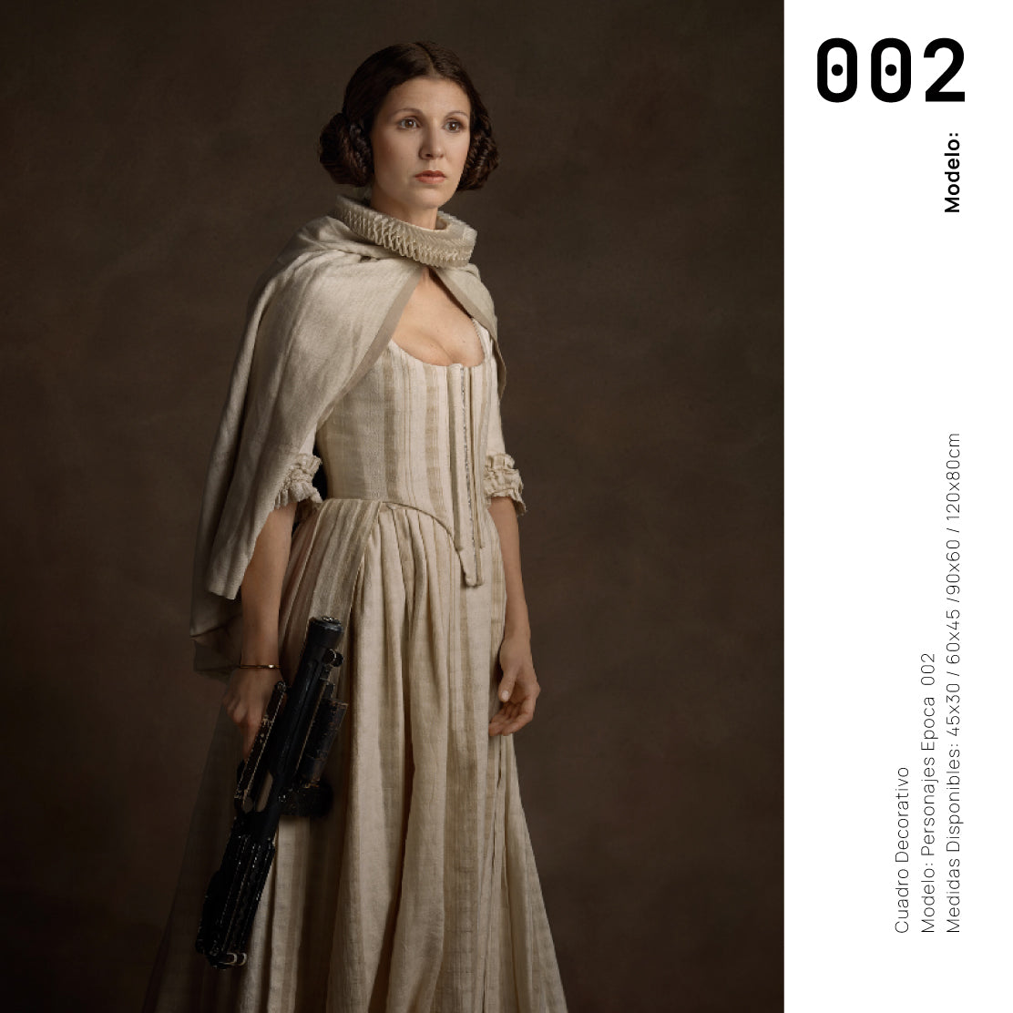 Cuadro Decorativo Personajes Época 002 Star Wars Princesa Leia
