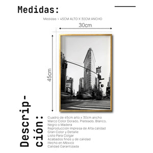 Cuadro Decorativo NY 003 - Flatiron Building New York