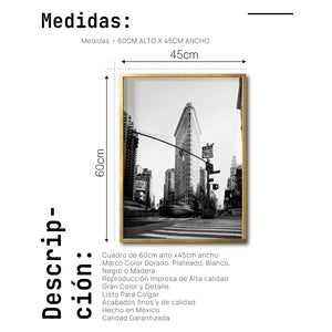 Cuadro Decorativo NY 003 - Flatiron Building New York