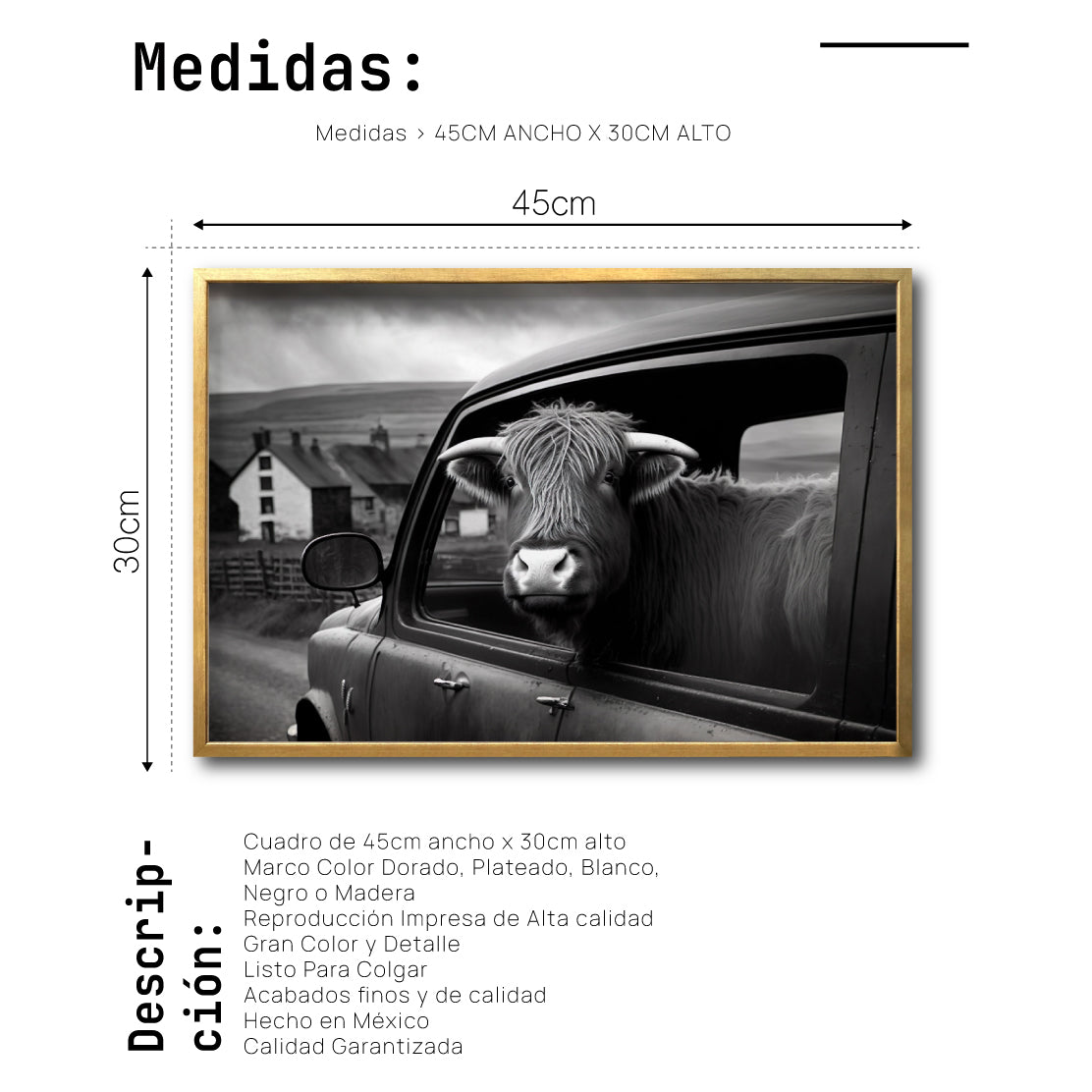 Cuadro Decorativo Animals Car Window 003