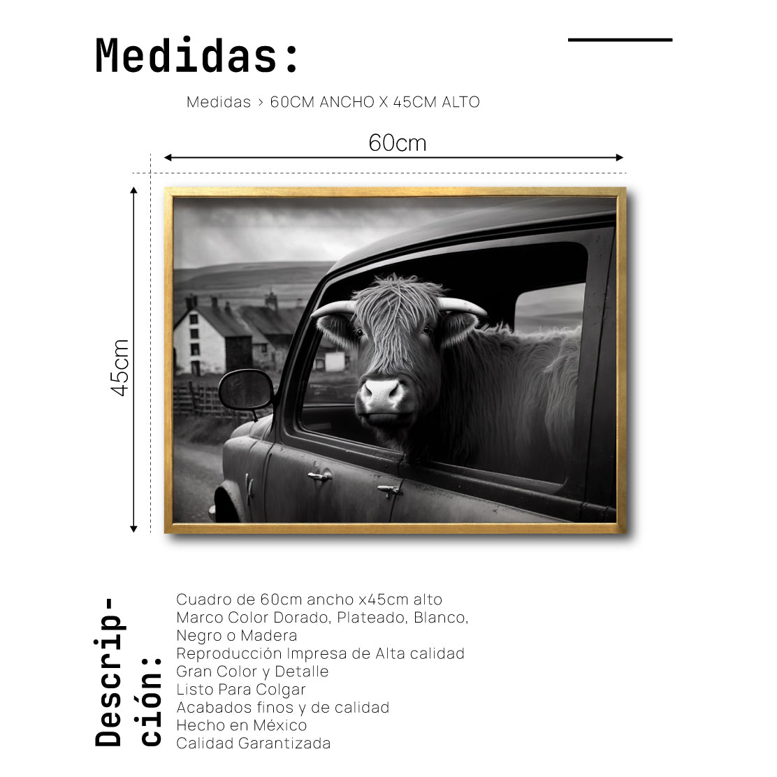 Cuadro Decorativo Animals Car Window 003