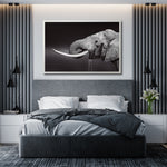Cargar imagen en el visor de la galería, Cuadro Decorativo Fauna 003 -  Elefante Blanco y Negro
