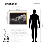 Cargar imagen en el visor de la galería, Cuadro Decorativo Fauna 003 -  Elefante Blanco y Negro
