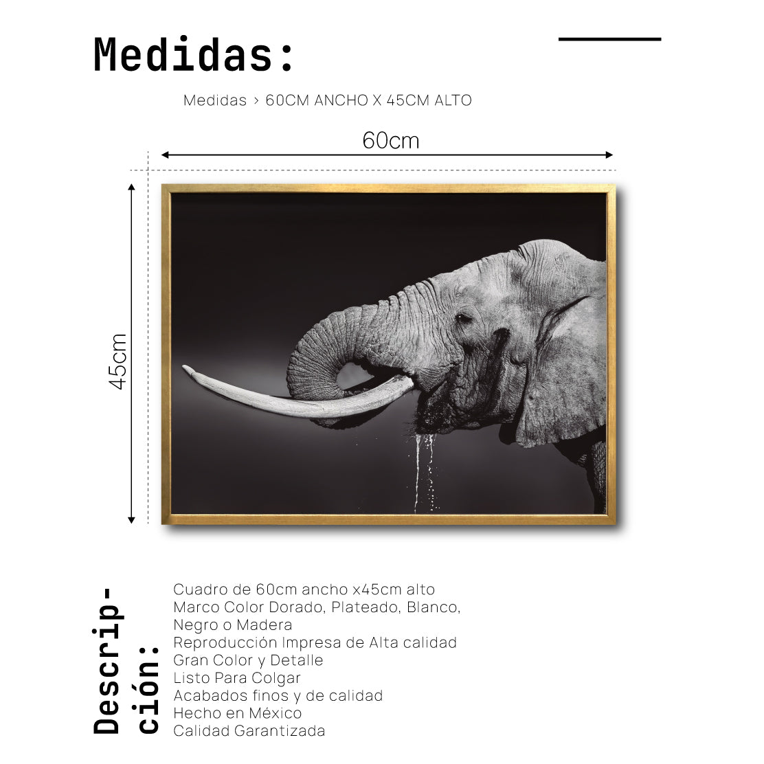 Cuadro Decorativo Fauna 003 -  Elefante Blanco y Negro